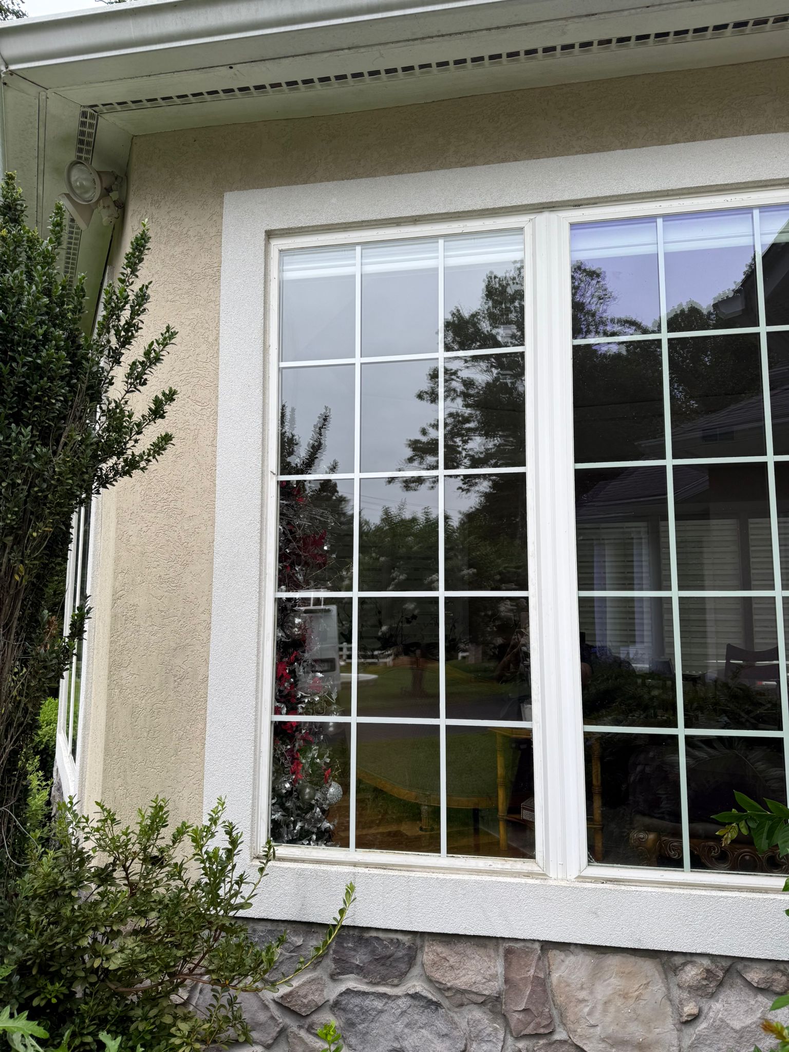 Glass Window & Patio Doors